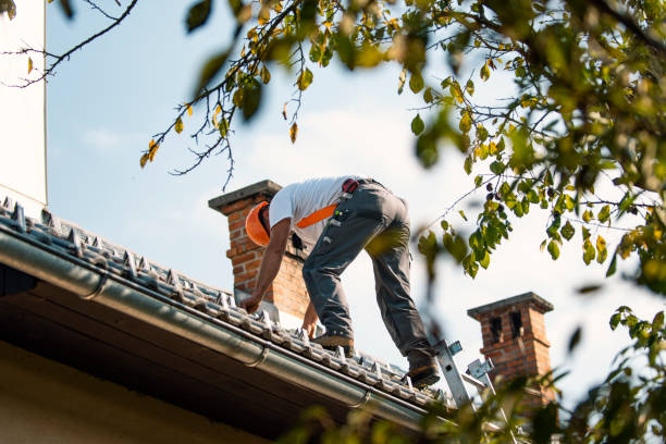 Best Metal Roofing Contractor  in Catonsville, MD